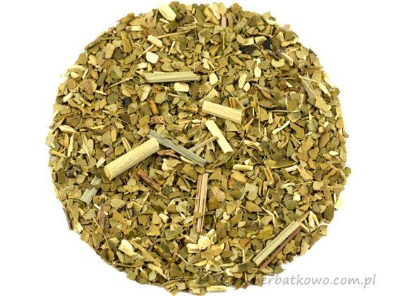 Yerba Mate Kaktusowa