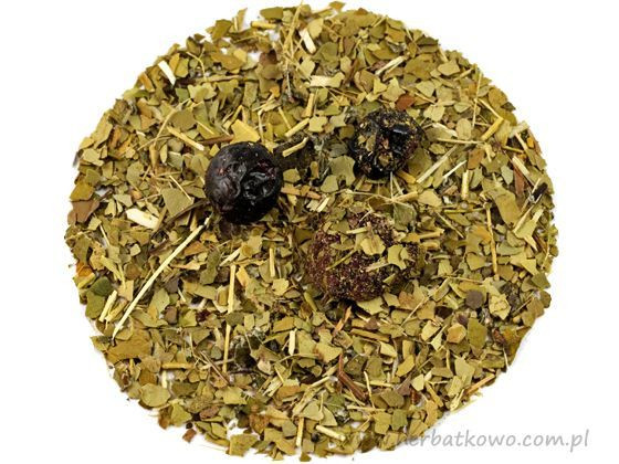 Yerba Mate Wiśniowo-Porzeczkowa