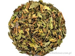 Mięta pieprzowa – liść, Mentha piperita